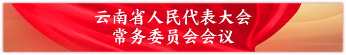 云南省人民代表大会常务委员会会议