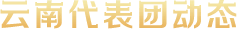 云南代表团动态