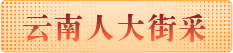 云南人大街采
