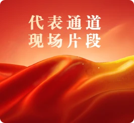 代表团通道现场片段