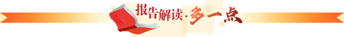 报告解读