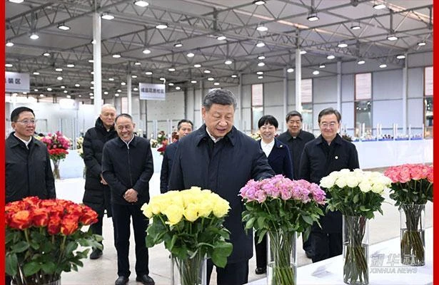习近平：祝你们的生活像花儿一样美！