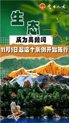 图解丨生态成为高频词，这个条例今起施行！