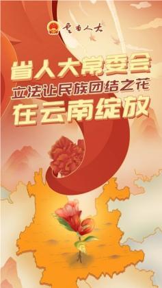 漫画 | 省人大常委会立法让民族团结之花在云南绽放
