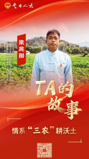 【TA的故事】全国人大代表梁兆刚：情系“三农”耕沃土