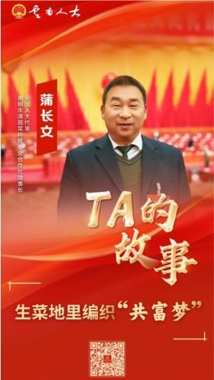 【TA的故事】全国人大代表蒲长文：生菜地里编织“共富梦”