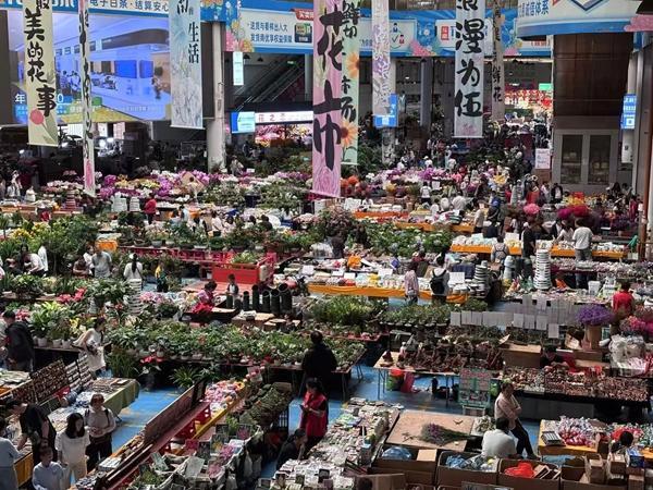 在百亿级产业链上作“花花文章” 这个专业代表工作站有点东西 | 民主微故事