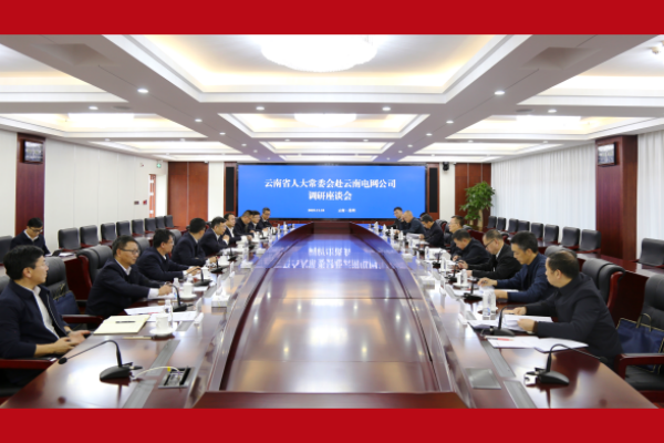 省人大常委会调研组到云南电网公司调研