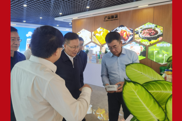 省人大常委会调研组到普洱市调研