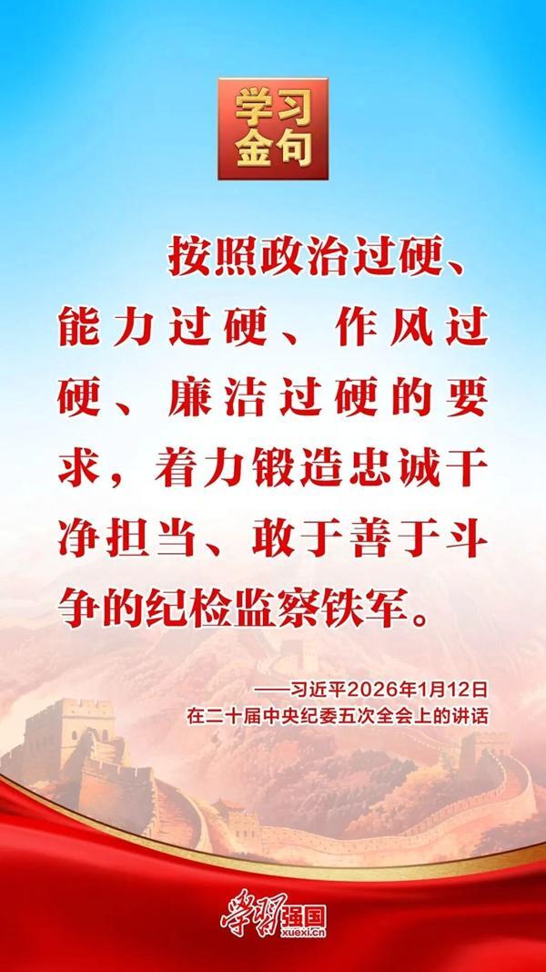 金句海报 | 习近平论以更高标准更实举措推进全面从严治党_云南人大网