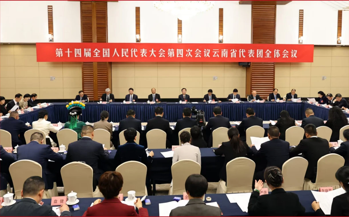 云南省代表团举行全体会议 推选王宁为代表团团长，王予波李小三为副团长