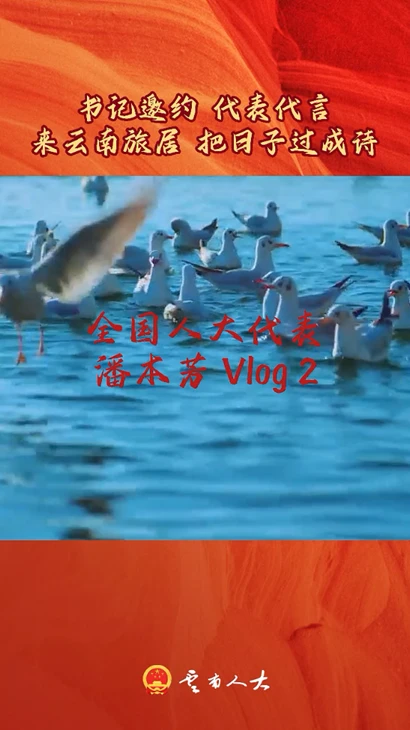 Vlog丨书记邀约，代表代言；来云南旅居，把日子过成诗！