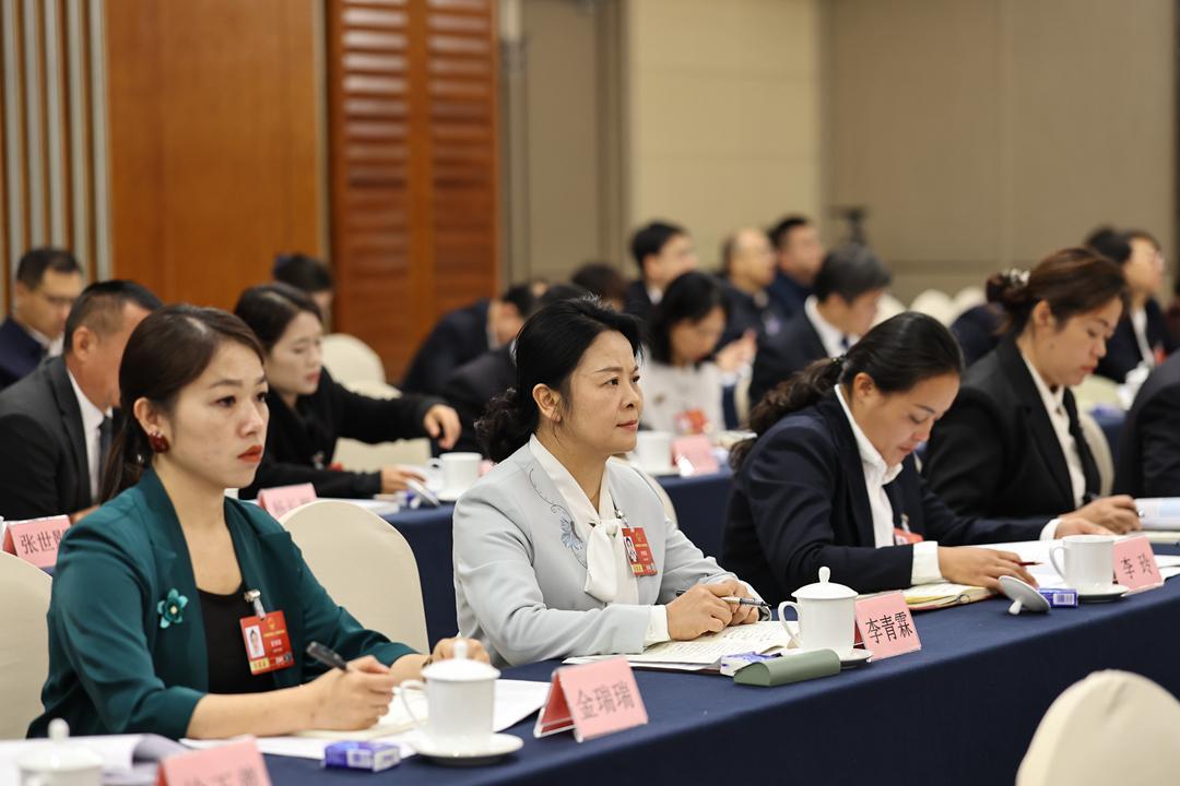 镜头直击代表履职风采（十）