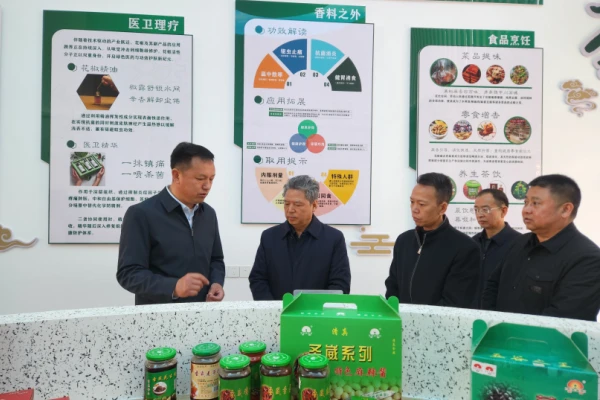 省人大常委会调研组到昭通鲁甸调研乡村振兴工作