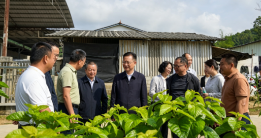 省人大常委会调研组到德宏州调研