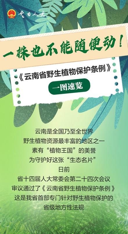 今起施行！一图速览《云南省野生植物保护条例》