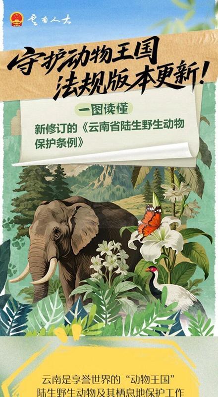 守护动物王国，法规版本更新！