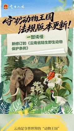 守护动物王国，法规版本更新！