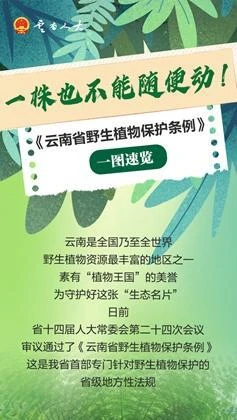 今起施行！一图速览《云南省野生植物保护条例》