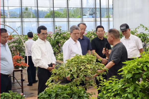 省人大常委会督察昆明林长制工作