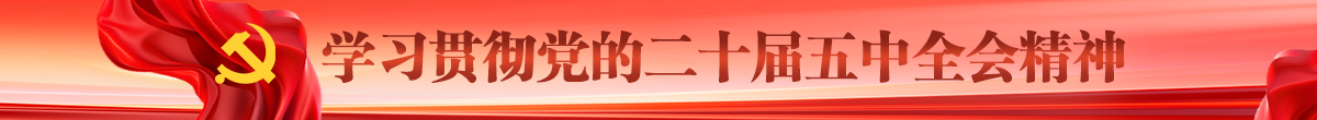 学习贯彻党的二十届五中全会精神
